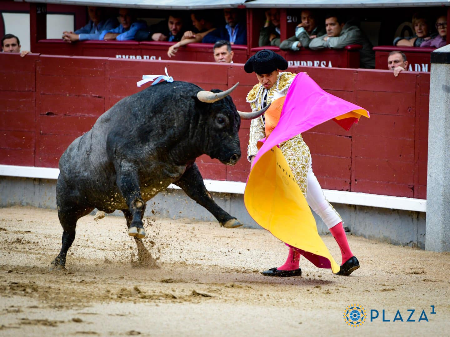 Foto tomada por el equipo de prensa de Plaza 1